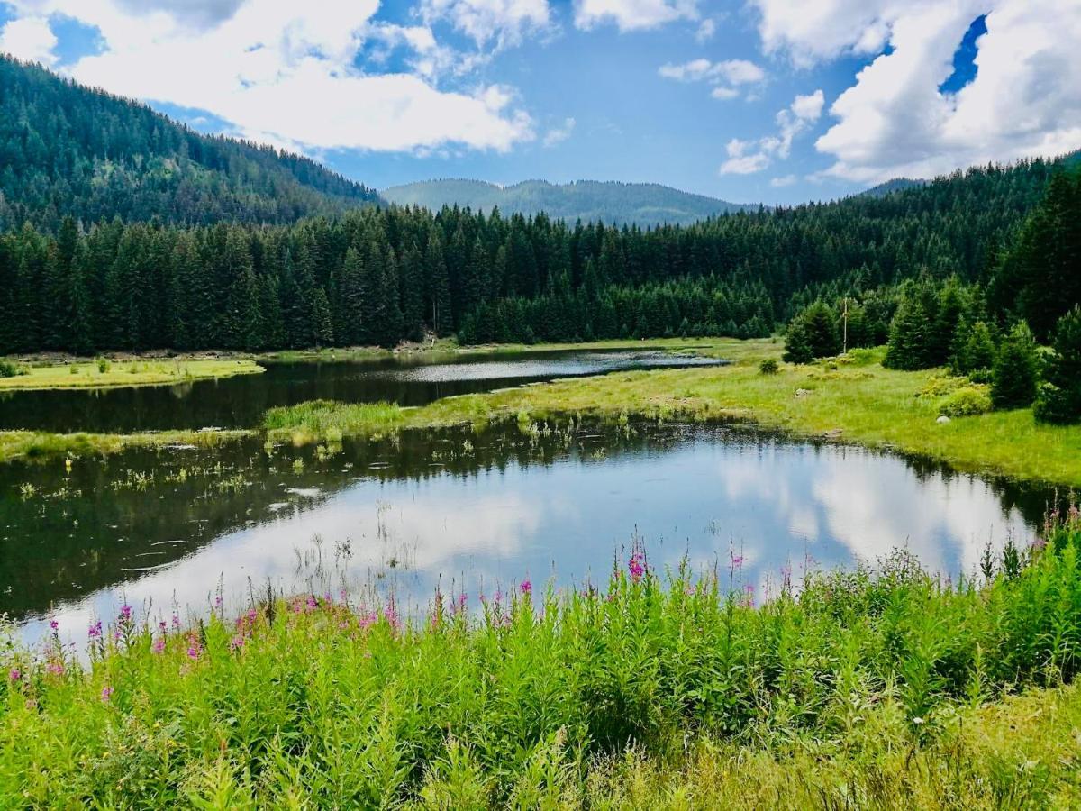 Secret Lake 533 At Oak Residence Смолян Екстериор снимка